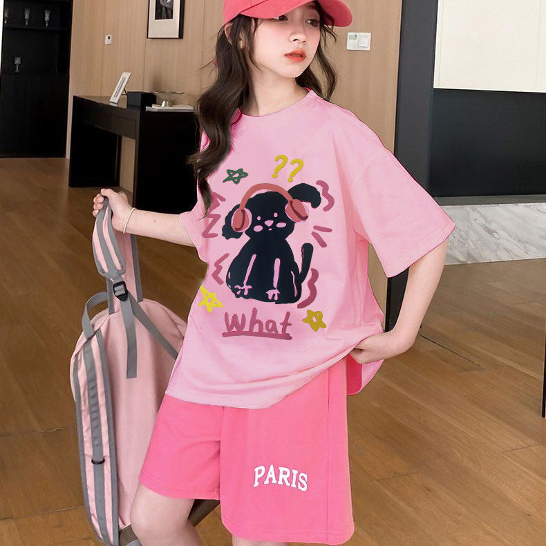 Summer  new girls' cartoon casual short-sleeve student t-shirt, loose-fit girl's outfit, hong kong style top
