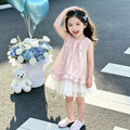 Girls' summer dress  new arrival: cute korean style preppy mesh princess dress - super adorable kids' clothing