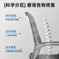 Office chair  new computer chair home backrest chair comfortable long sitting plastic study chair bow-shaped comfort seat