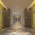 Hotel corridor aisle carpet new chinoiserie nylon printing 800g thickeneded flame retardant b1 pass-through floor stain-resistant aisle carpet