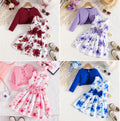 spring/autumn collection: girls' colorful suspender dress + solid color cardigan - new fashionable and elegant baby outfit