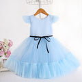 Amazon's new kids dress tutu cake skirt princess skirt female flower girl first birthday baby dress