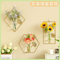 Wall-mounted hydroponics [rhombus + circle + hexagon]