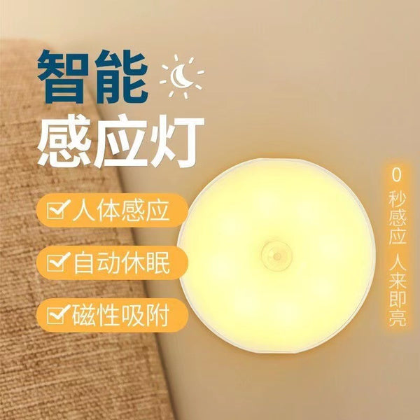 LED intelligent human body sensor light night light induction wardrobe light entrance staircase light USB charging night light wholesale