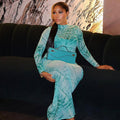 European and american style cross-border printed mesh women's dress - fitted waist, bodycon, high neck, fashionable long sleeve, elegant maxi dress