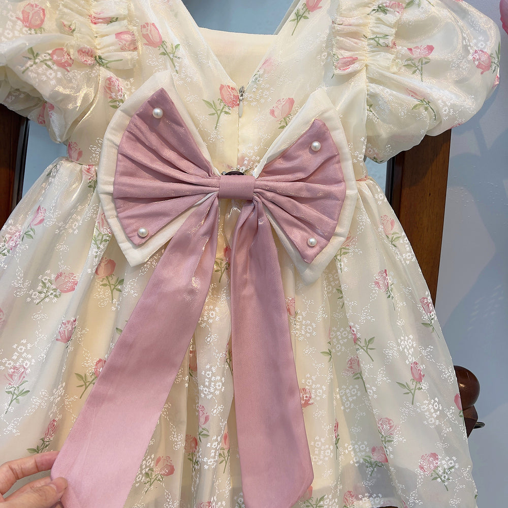 summer new arrival: baby girl's lace mesh floral dress with cute big bow - sweet and adorable princess dress