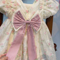 summer new arrival: baby girl's lace mesh floral dress with cute big bow - sweet and adorable princess dress