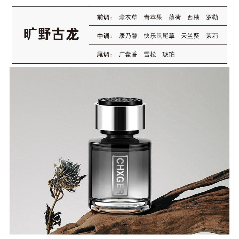 Car air freshener, interior perfume ornament, dashboard use, fresh air odor eliminator, multiple styles, auto accessories