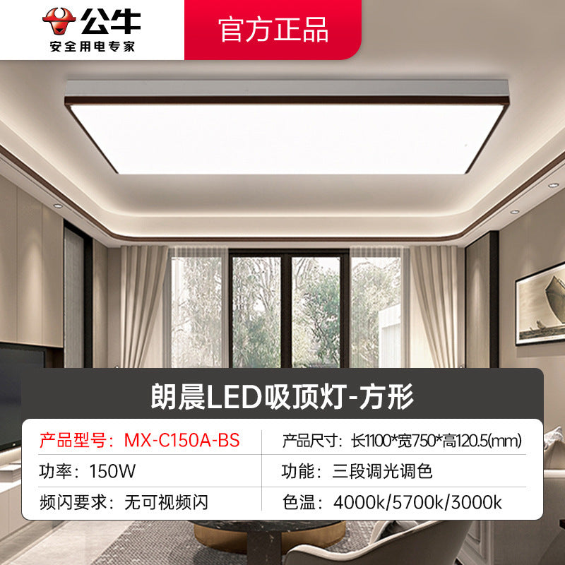 Bull new Langchen ceiling light lighting ceiling simple modern lighting package room bedroom led living room light