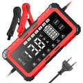 12v/24v 15a lithium iron phosphate (lifepo4) & lead-acid battery charger - 12v car battery charger