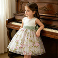Girls' formal dress vest dress cross-border e-commerce children's princess dress birthday first birthday outfit flower girl dress new  collection