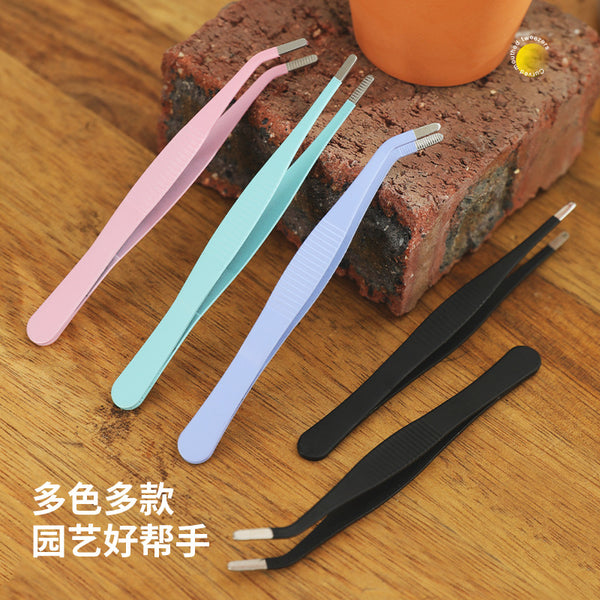 Succulent stainless steel forceps straight elbow DIY micro landscape tool forceps clip