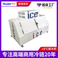 110v cold chain commercial freezer glass door large capacity ice freezer foshan manufacturer ice storage freezer personalized