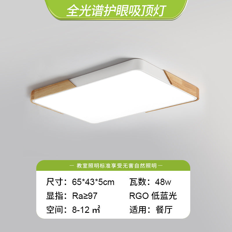 Living room light 2025 new Nordic led ceiling light simple modern creative room bedroom light Zhongshan lighting