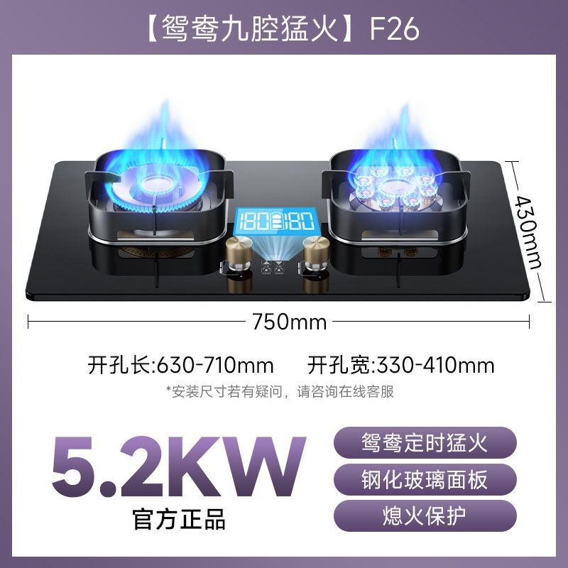 German baeda pure stainless steel 304 thickened large panel gas stove nine-chamber fierce fire table embedded fixed double stove