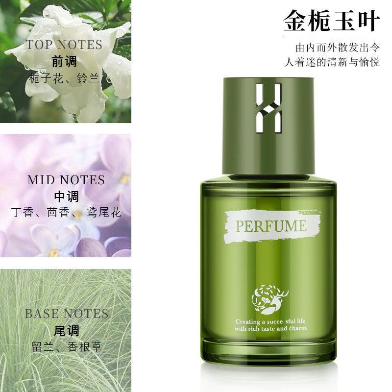 best-selling car perfume and aromatherapy for men, high-end car green field essence version fragrance