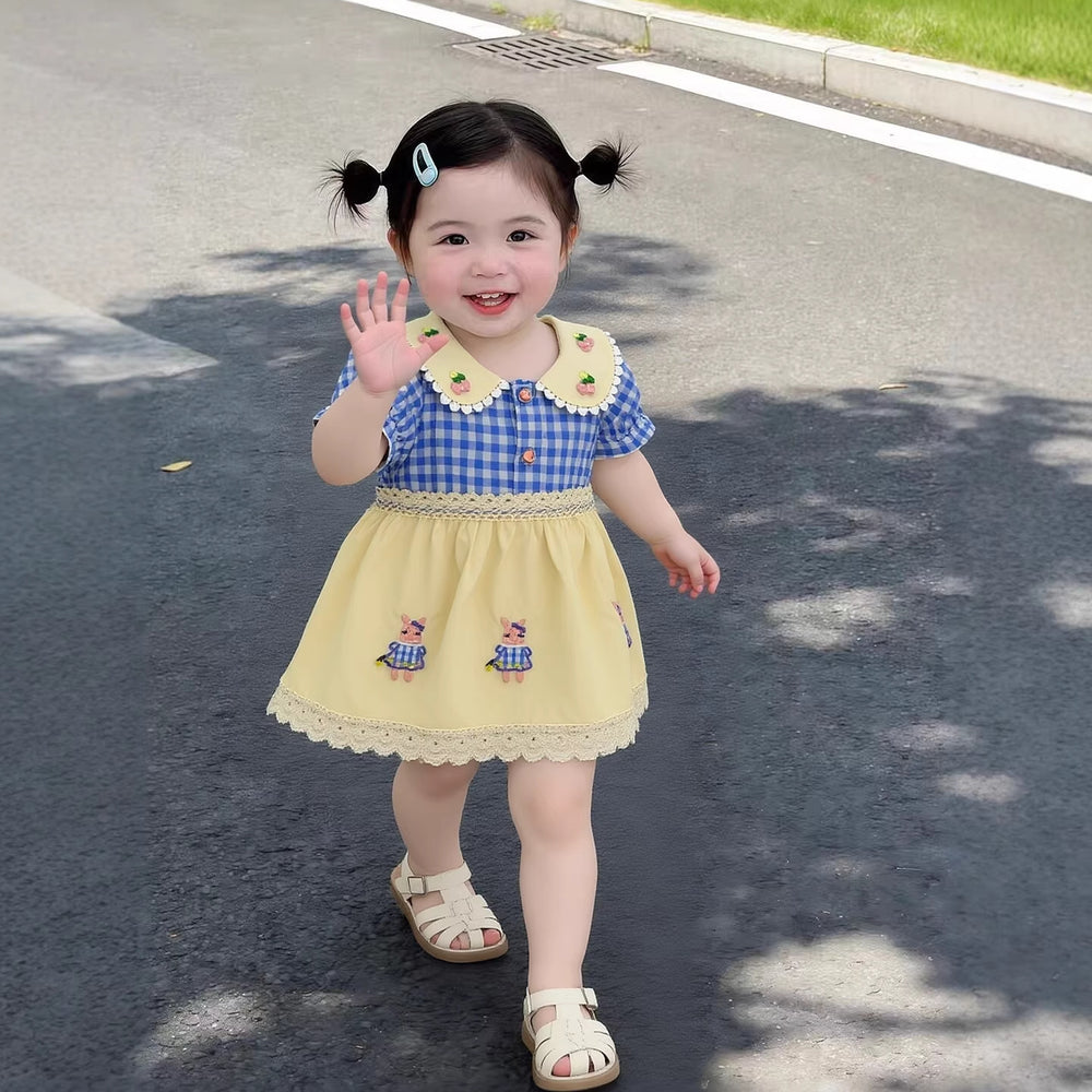 Girls' summer dress - floral lace peter pan collar, fresh blue gingham short sleeve princess dress, children's clothing dress