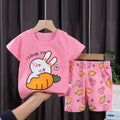 F03-carrot rabbit