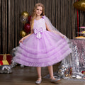 European and american cross-border girls' dresses: mesh vest cake skirt, high-end tutu dress, custom girl's dresses