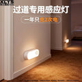 Smart human body induction night light - voice control, wireless, for bedroom, wardrobe, cabinet, hallway, bedside use