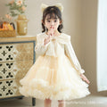 Girls' spring and autumn tutu dress - children's mesh dress - little girl's princess dress - long sleeve - ages 3-12
