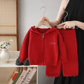 Girls' knitted sweater and pants set - new autumn  collection - casual sweater outfit for little girls