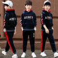 Boys' fleece-lined tracksuit set - new  winter collection: stylish and trendy two-piece hooded set for toddlers, big kids, and teens - thickened for extra warmth