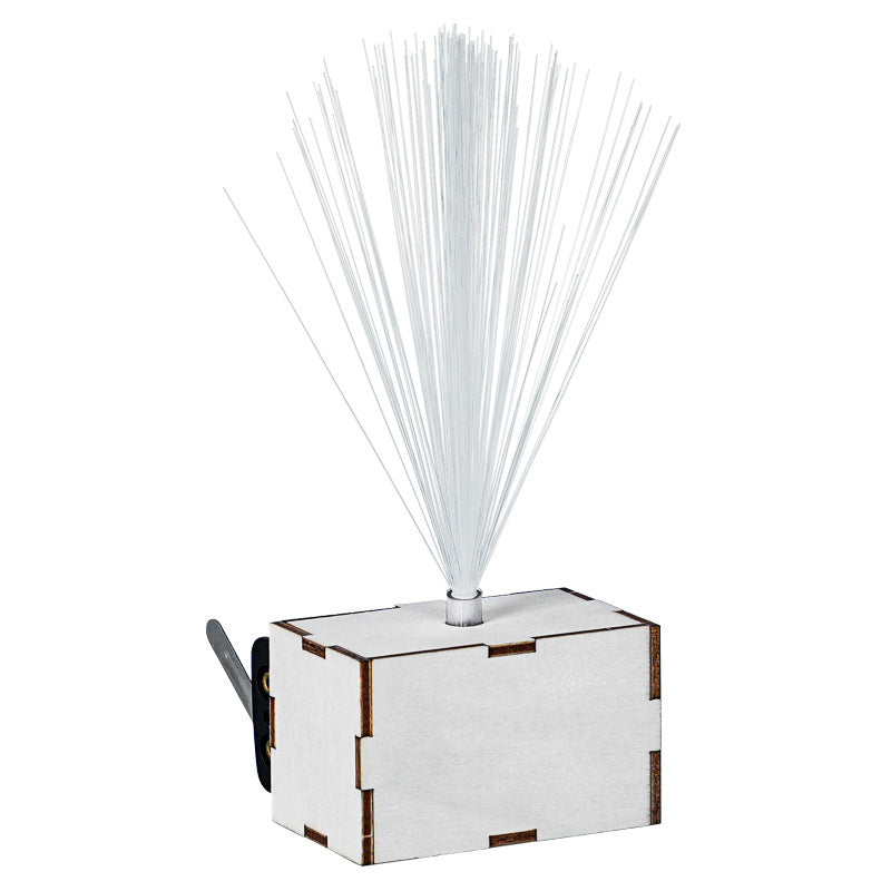 Wooden fiber optic lamp, technology small production, handmade teaching experiment utensils, educational teaching aids DIY gypsy material package