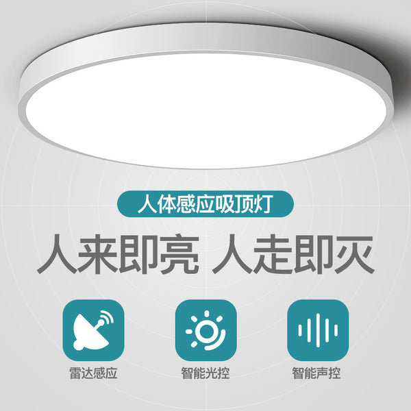 Intelligent ceiling light LED aisle corridor lamp stair light entrance entrance sound control light radar human body sensor light
