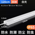[special offer] ip65 waterproof | 1.56m w white light