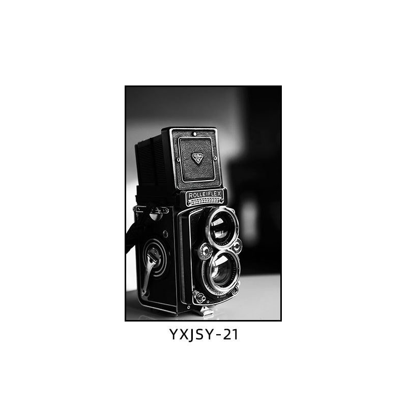 Camera photography Decorative painting Photo studio Black and white industrial style hanging painting Media studio Camera mural