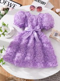 Girls' (toddler) dress, 3d rose embellished elegant party dress
