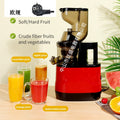 Sl-1 red slag juice separation (european standard 220v plug)