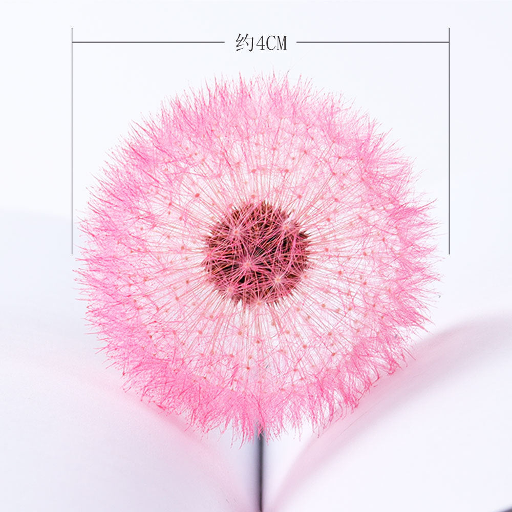Dandelion flower dried flower immortal flower specimen DIY resin Epoxy flower material decorative bag flower arrangement