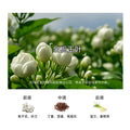 Factory direct car air freshener, car perfume solid balm, long-lasting light fragrance, customization and wholesale available