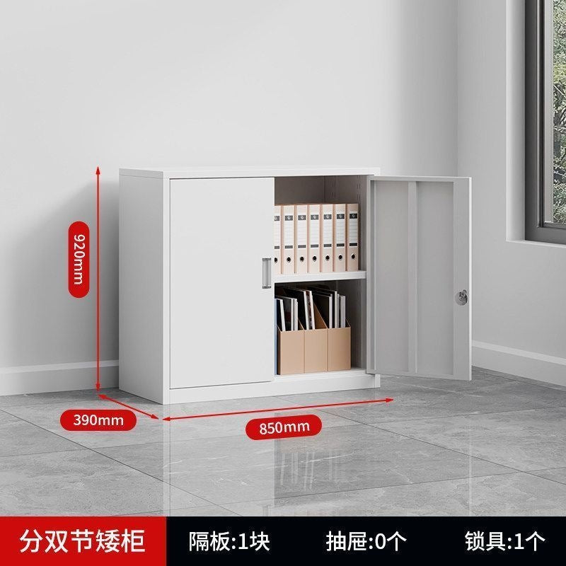 Heavy-duty steel office file cabinet - steel document cabinet for financial records, accounting files, and storage - low profile storage unit