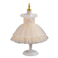 Ready-to-ship new baby girl dress - tulle flower cake princess dress - first birthday dress - baby dress