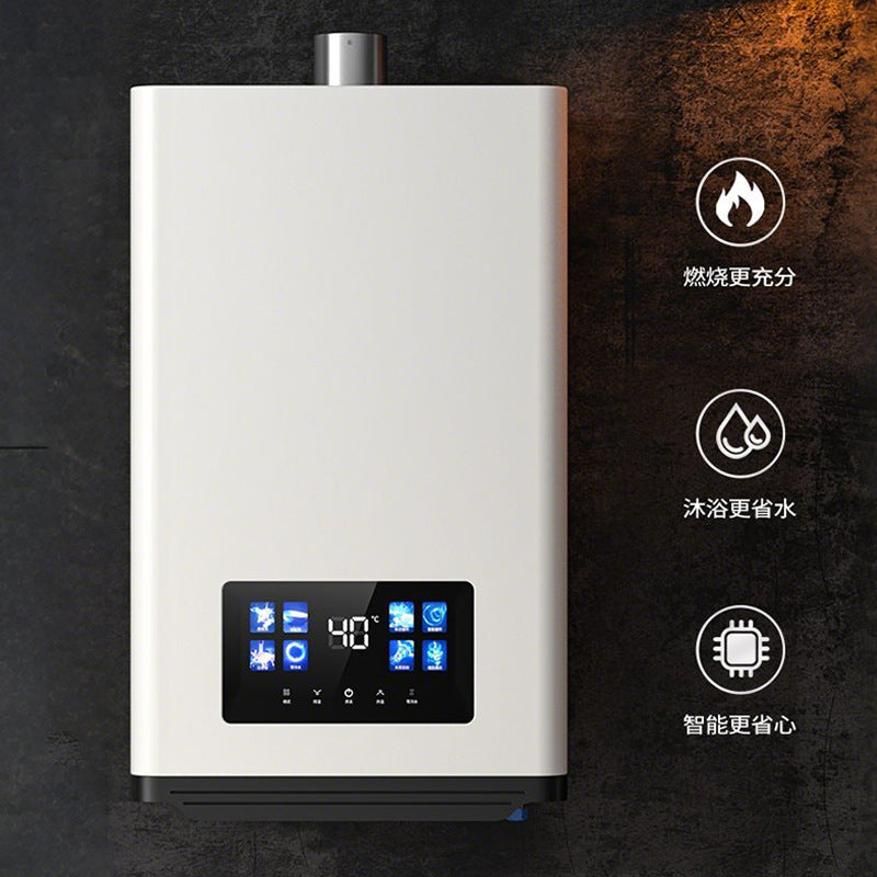 German brand premium gas water heater, inverter constant temperature, natural gas/lpg, 16l forced flue constant temperature model