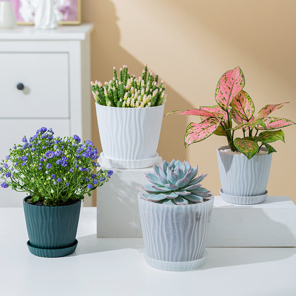 Small flower pot plastic resin succulent white potted cactus with tray flower pot wholesale special new aloe vera pot