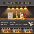 80cm versatile silver [always on, human body induction, three-color switching, stepless dimming, 2200 mah]