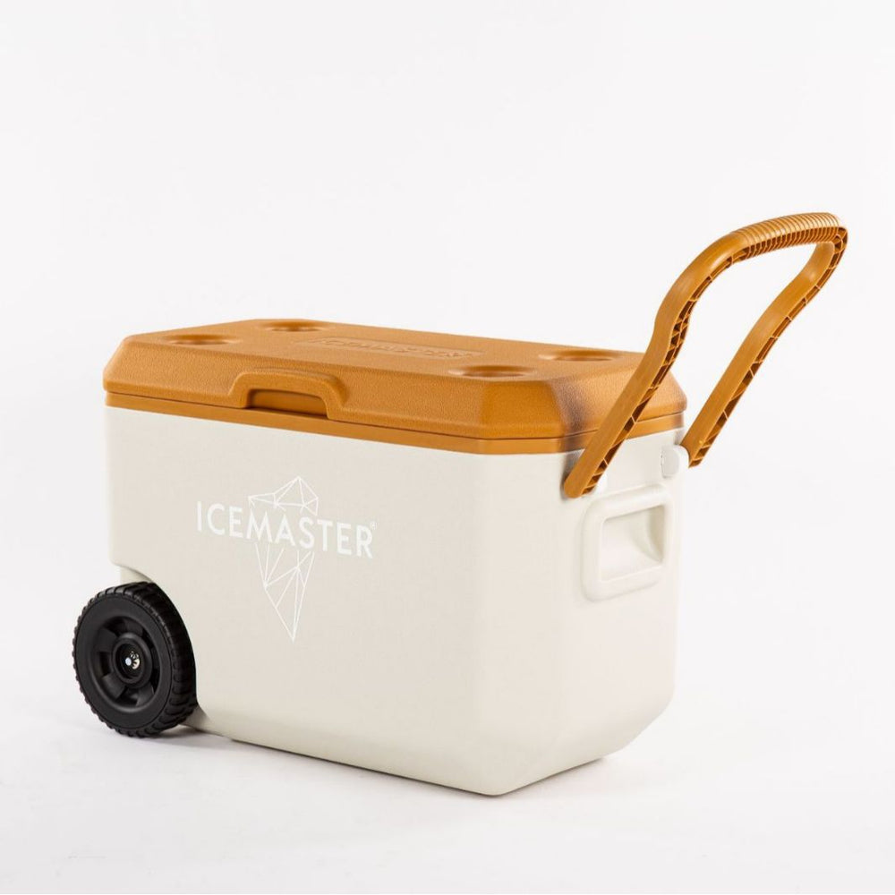 Ice master takeaway insulated box outdoor car portable for home seafood food styrofoam fresh box refrigerator box