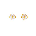 S925 sterling silver needle luxury zircon flower stud earrings - women's fashionable, versatile, unique, and elegant earrings