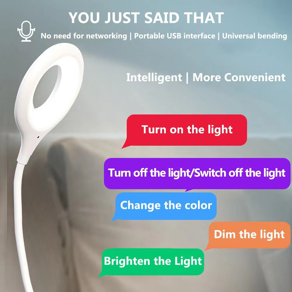Usb smart voice control led night light for home student study dormitory bedside moon night light