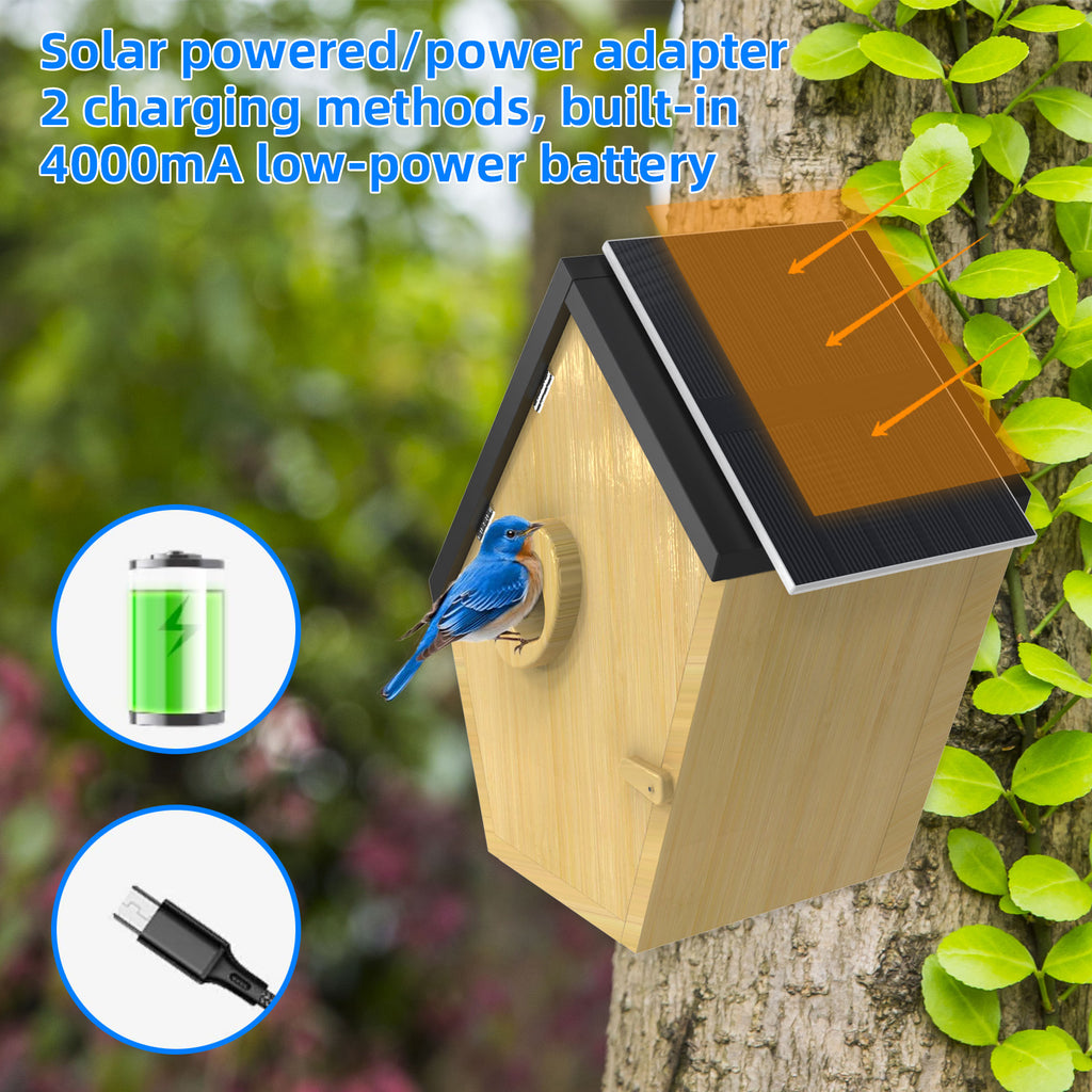 Factory direct sales visual bird hatchery 5MP high definition solar camera bamboo and wood bird nest,   explosion
