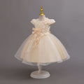 Exportnew arrivallace flower puffy wedding dress princess dress girl model catwalk dress flower girl