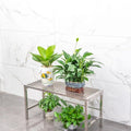 Stainless steel flower stand single-layer combination storage rack balcony floor-standing single-layer living room outdoor outdoor flower pot rack metal