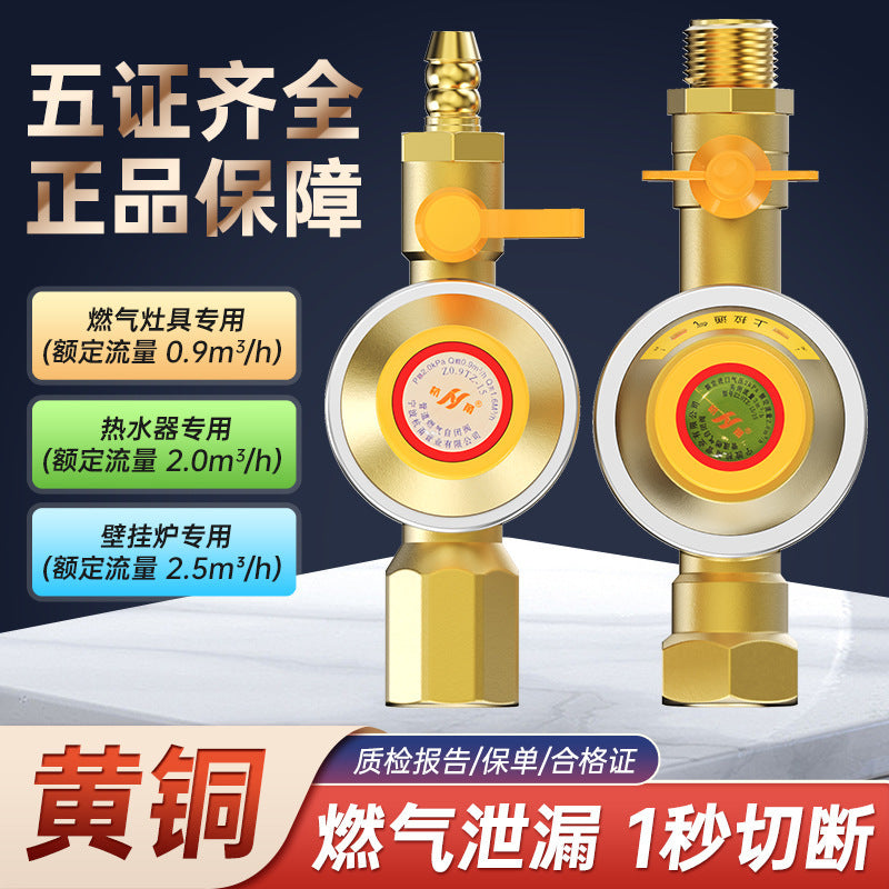 Source factory gas pipe self-closing valve automatic gas cut-off natural gas emergency cut-off valve water heater air leakage protection