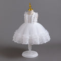 Exportnew arrival children's dress lace tutu princess dress female toddler first birthday dress baby dress