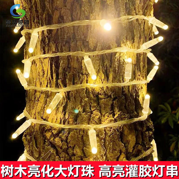Outdoor waterproof glue filling light string, festive Christmas light string, tree lighting project light string, atmosphere decorative modeling light string
