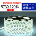 5730 double row 120 beads white light